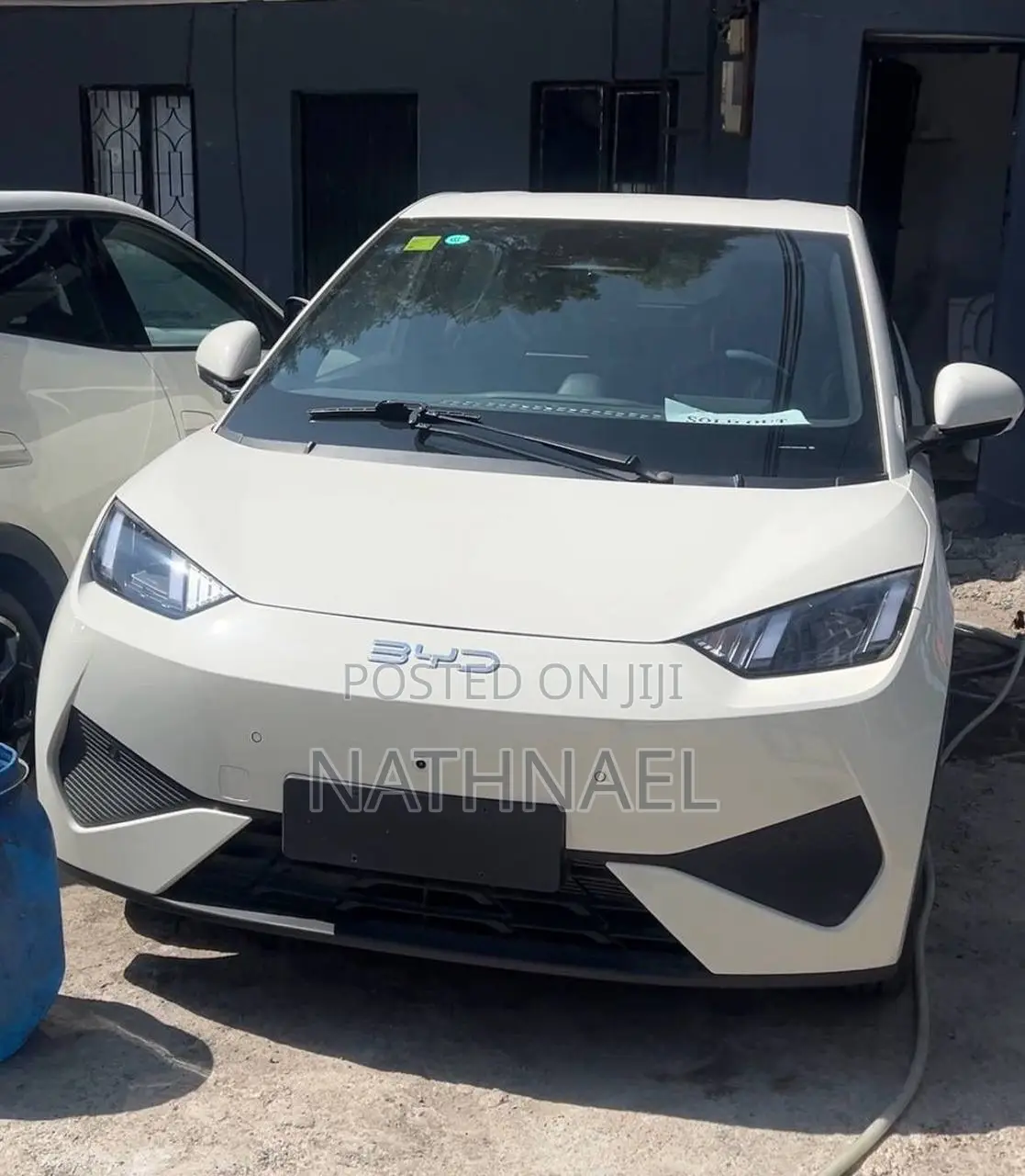 New BYD Seagull 2025 White