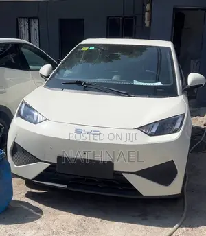 New BYD Seagull 2025 White