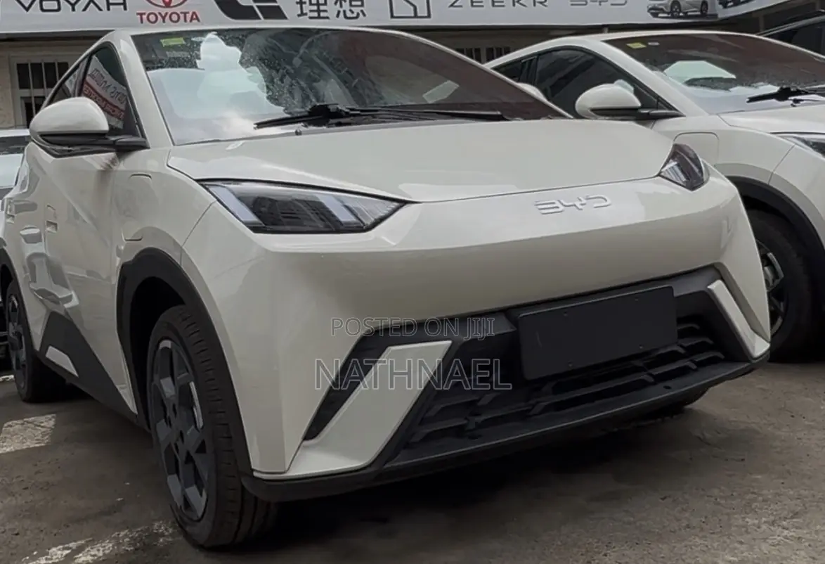 New BYD Seagull 2025 White