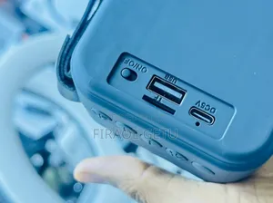 V20 Portable Loudspeaker