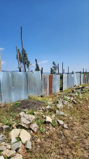 Photo - የሚሸጥ 5000 ካሬ.ሜትር የእንቨስትመንት ቦታ