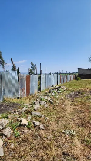 የሚሸጥ 5000 ካሬ.ሜትር የእንቨስትመንት ቦታ