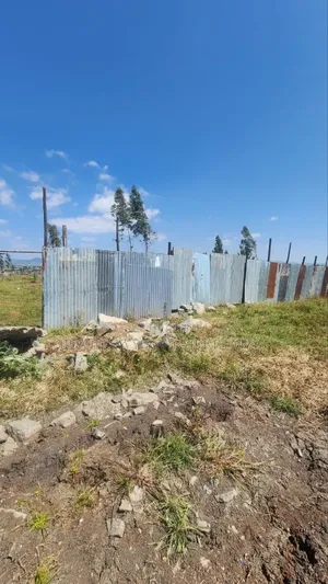 የሚሸጥ 5000 ካሬ.ሜትር የእንቨስትመንት ቦታ