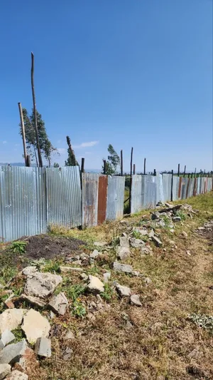 የሚሸጥ 5000 ካሬ.ሜትር የእንቨስትመንት ቦታ