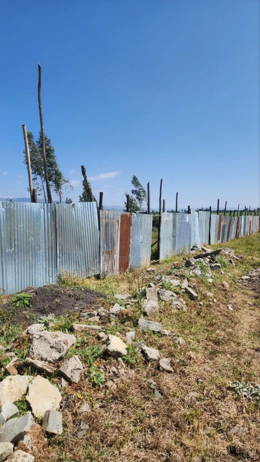 የሚሸጥ 5000 ካሬ.ሜትር የእንቨስትመንት ቦታ