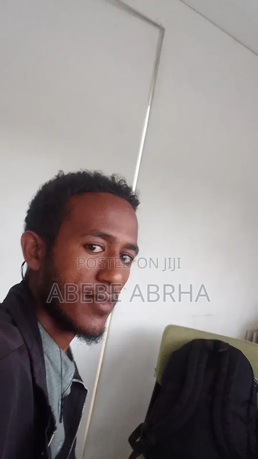 I Am a Professional Accountant