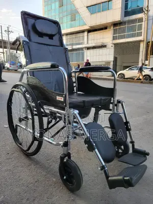 Wheelchair and Toilet All Purpose鼇鹼functionality for Added Safety