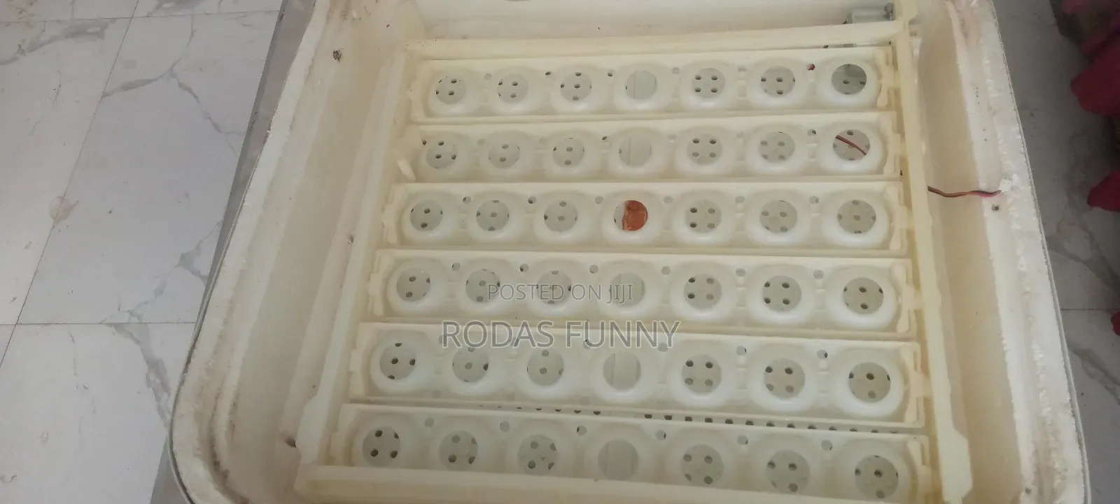 የጫጩት ማስፈልፈያ / Incubator