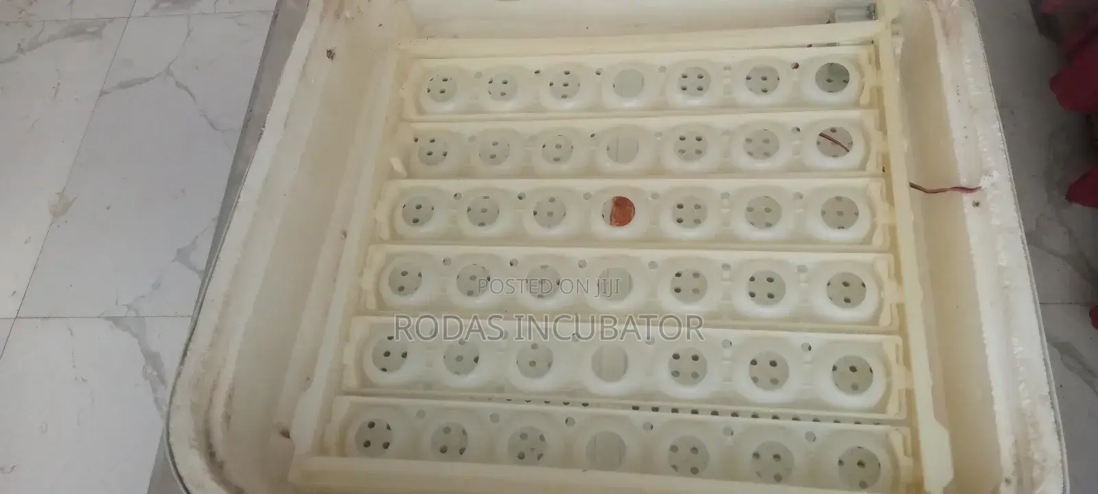 የጫጩት ማስፈልፈያ / Incubator