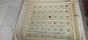 የጫጩት ማስፈልፈያ / Incubator