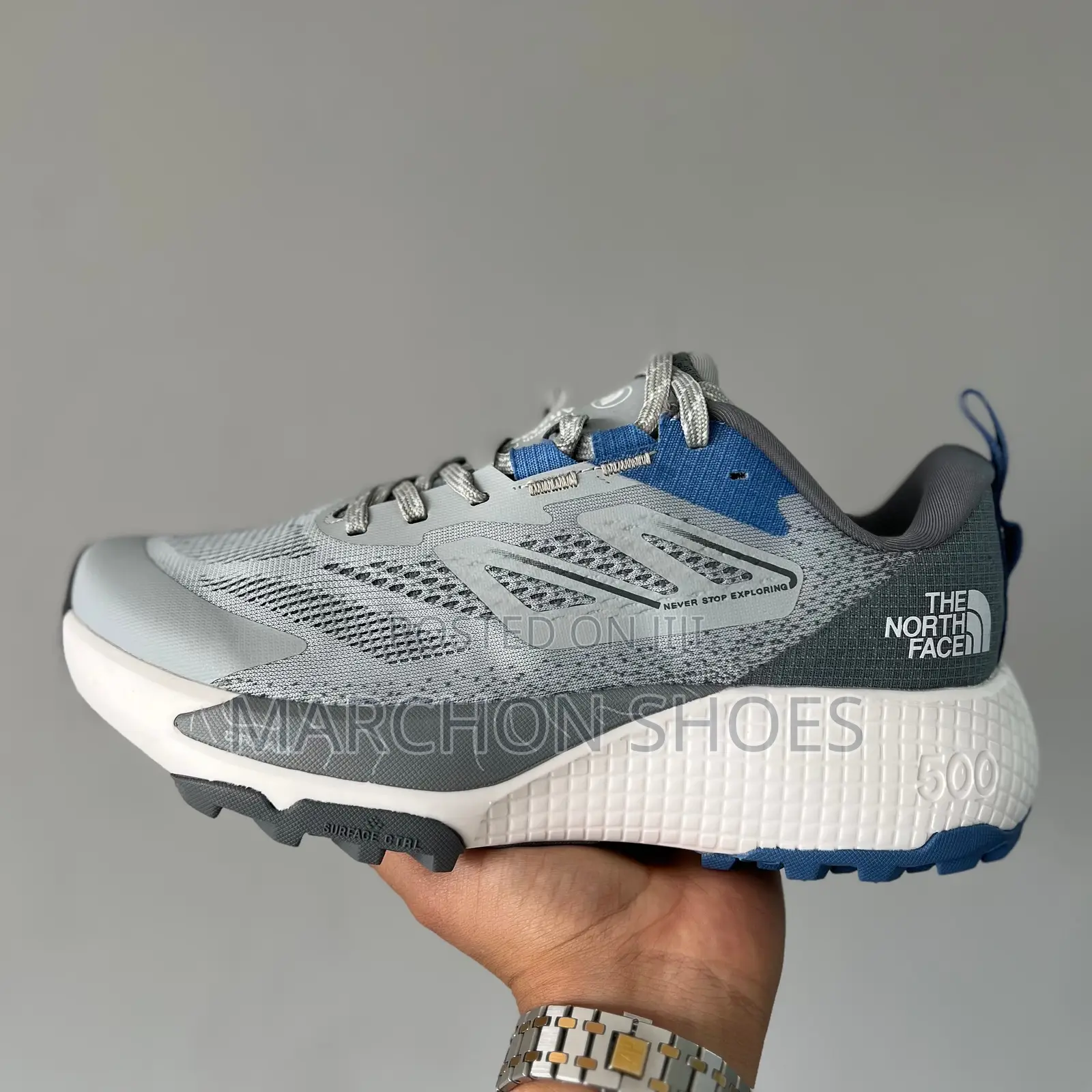 The North Face Altamesa 500