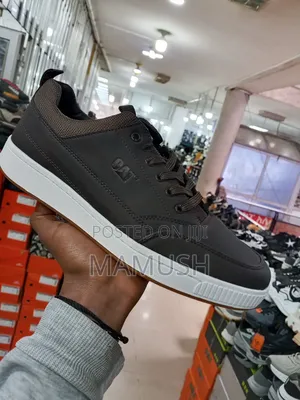 This Is Apair of Cat Footwear Casual Leather Shoes