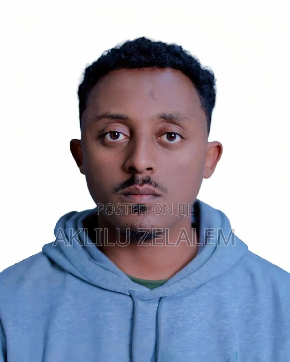 Facilitator / Coordinator