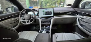 BYD Song Plus 2024 Gray