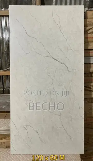 Photo - 120×60 Indian Ceramics