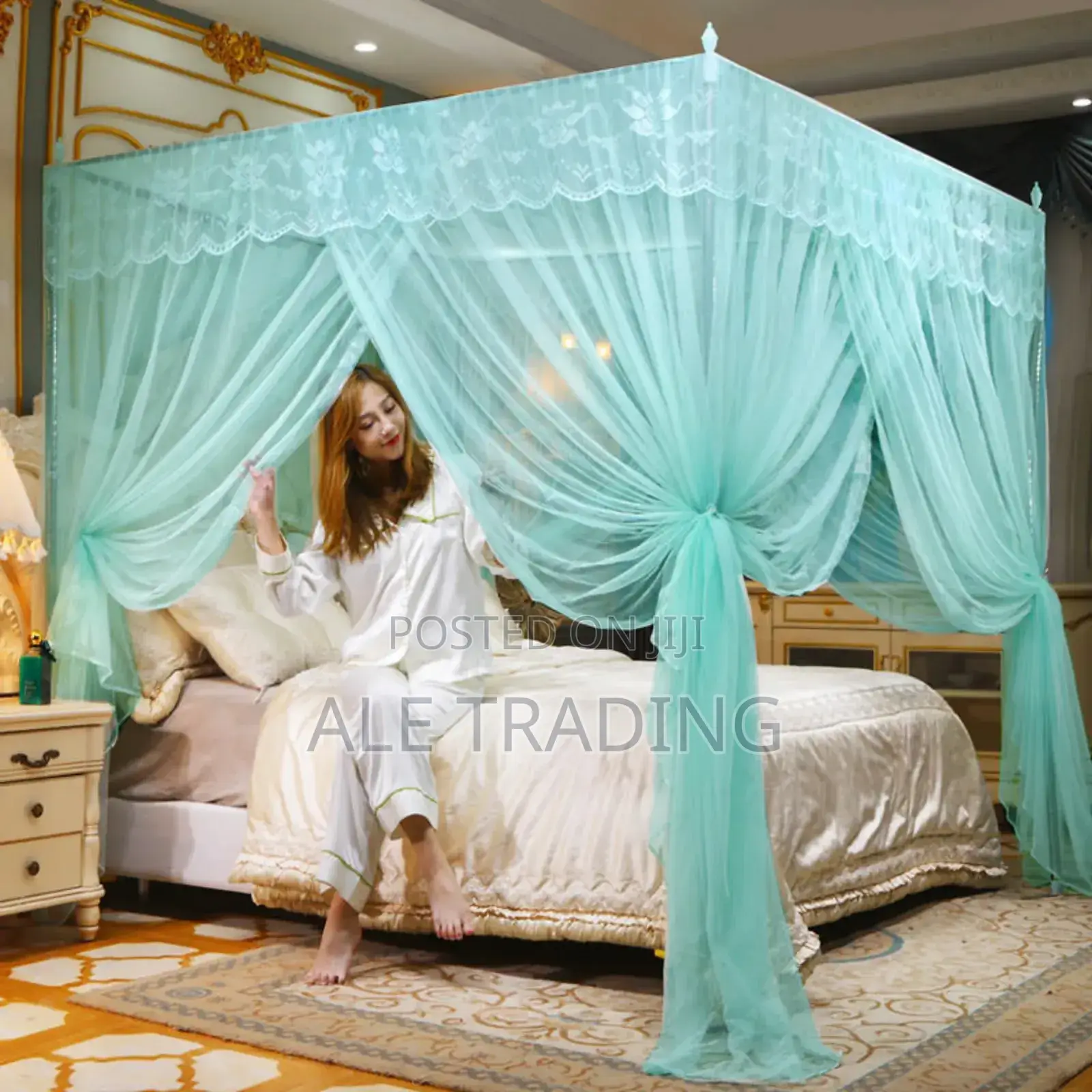 Romantic Mosquito Net