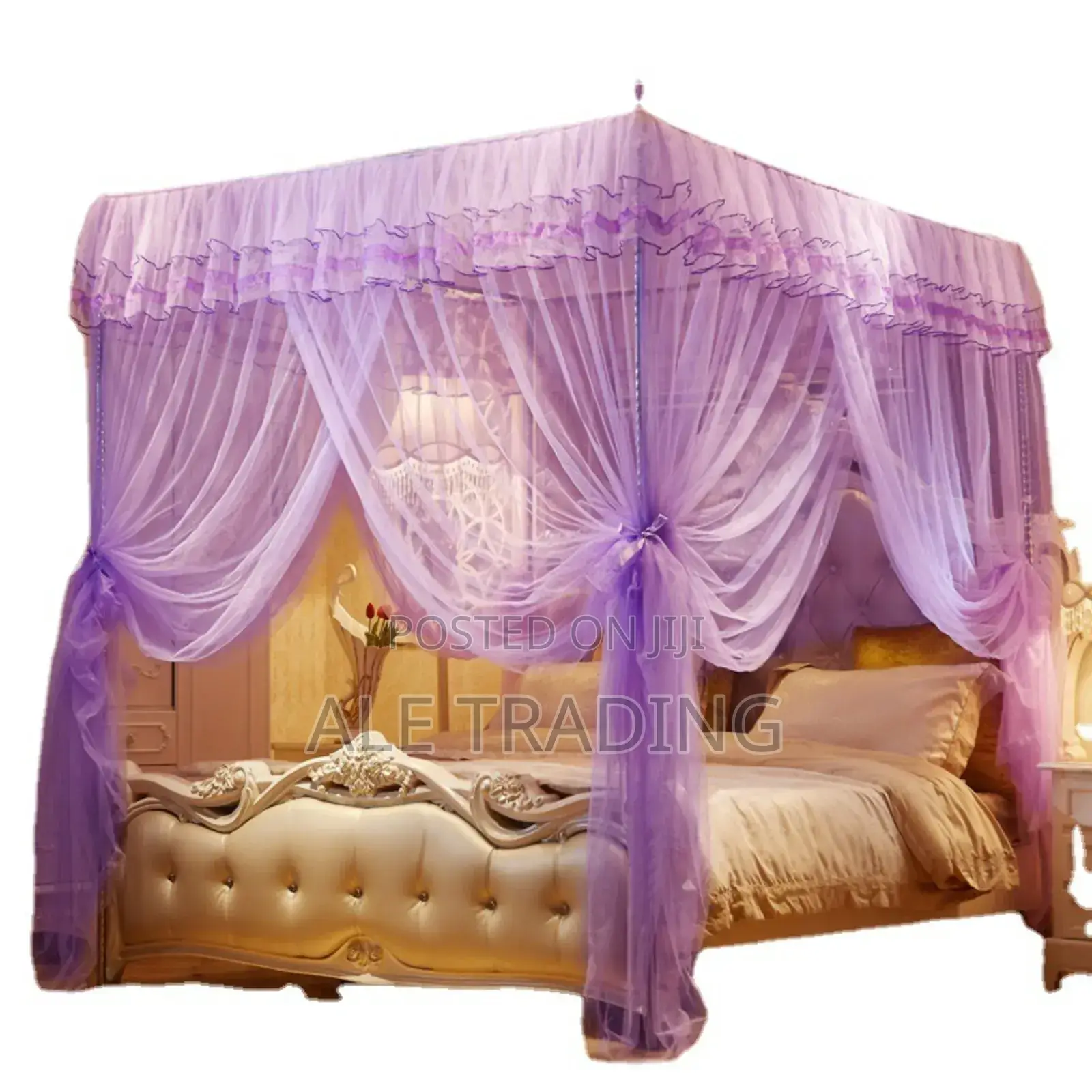 Romantic Mosquito Net