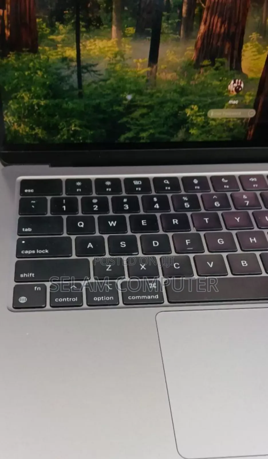 New Laptop Apple MacBook Pro 2022 M2 8GB Apple M2 SSD 256GB