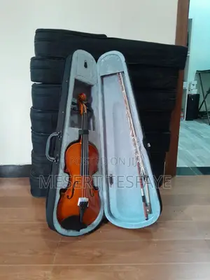 Violin With There Bag