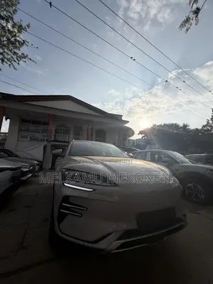 Photo - New BYD Song Plus 2025 Pearl