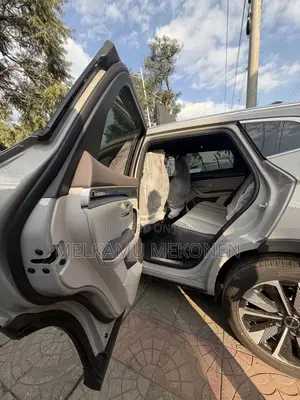 New BYD Song Plus 2025 Pearl