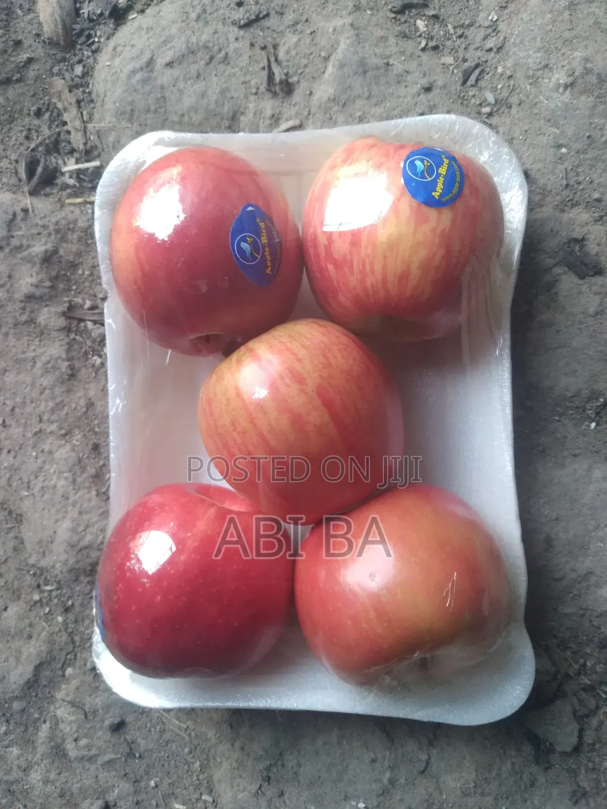 Apple France Netherlands England