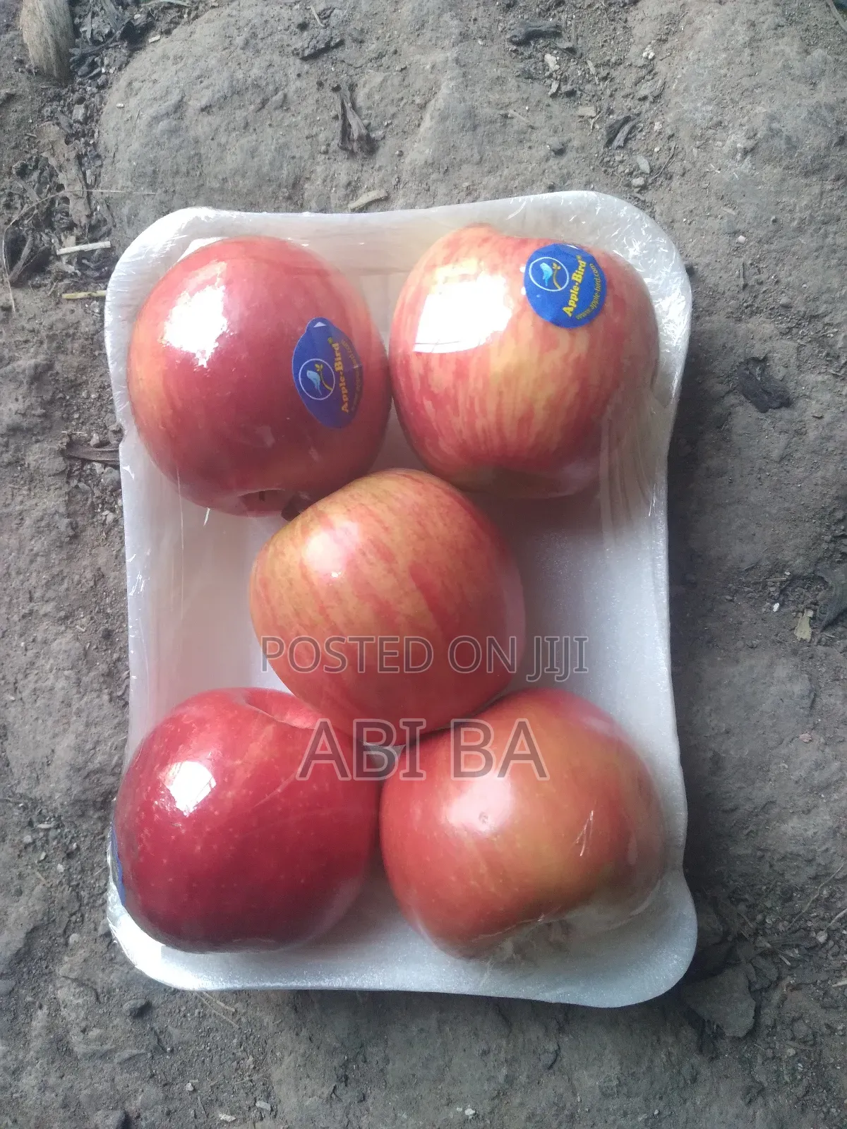 Apple France Netherlands England