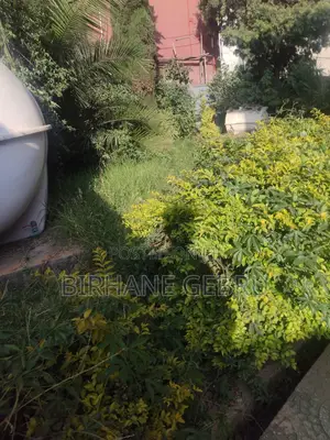 14bdrm House in G+2 House, Bole for rent