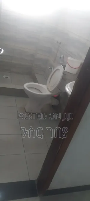 Furnished 2bdrm Condo in Ayat 49, 40/60, Yeka for rent