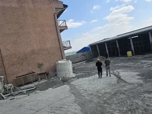 Photo - Mini Flat in Akaky Kaliti for rent