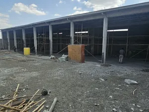 Mini Flat in Akaky Kaliti for rent