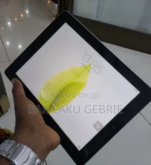 New Apple iPad 3 Wi-Fi + Cellular 32 GB Silver