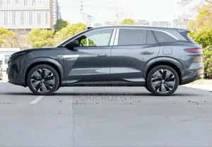 Photo - New BYD Tang DM-i 2025 Gray