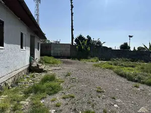 1500 M2 ኮልፌ ጠሮ ስላሴ አከባቢ