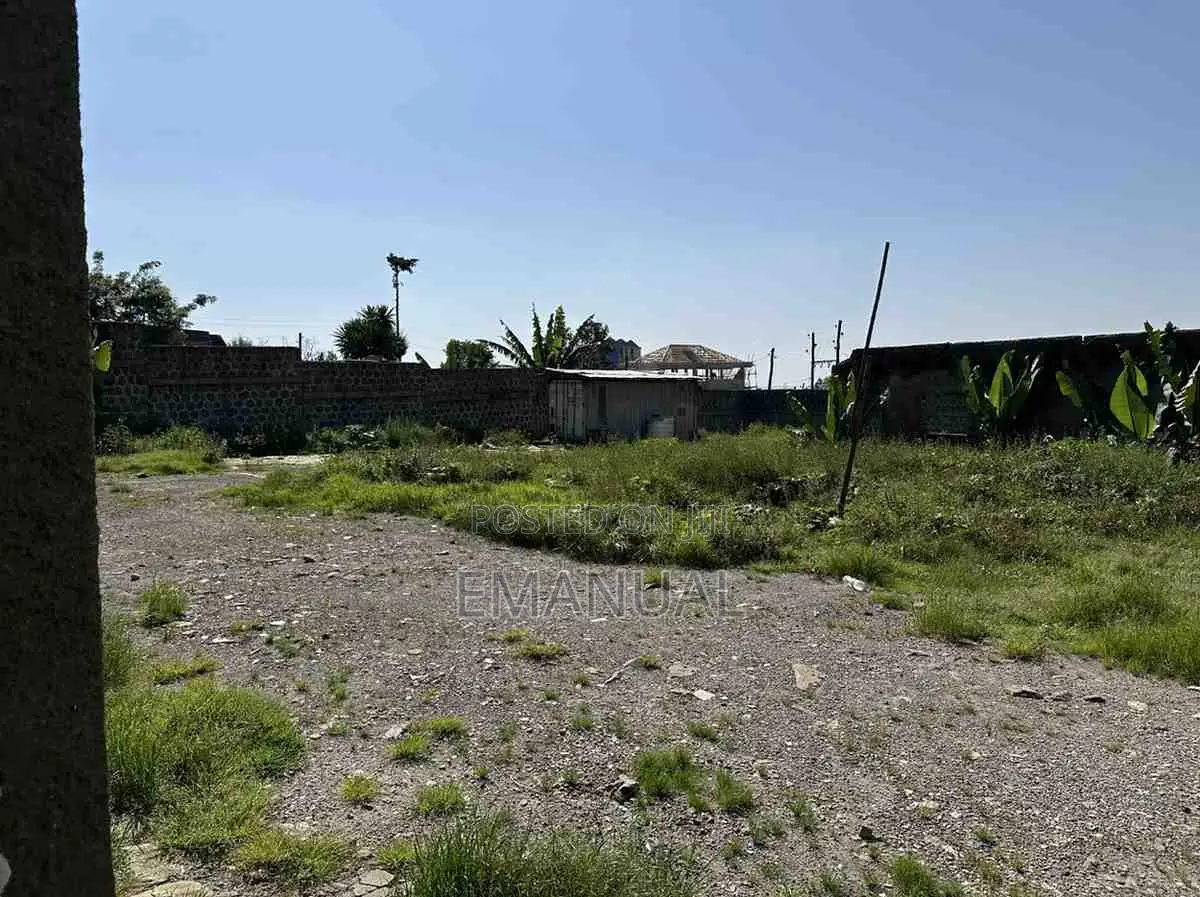 1500 M2 ኮልፌ ጠሮ ስላሴ አከባቢ