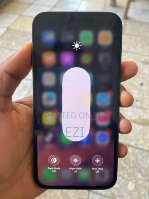 Apple iPhone 13 256 GB Green