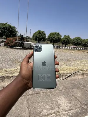 Apple iPhone 11 Pro Max 256 GB Green