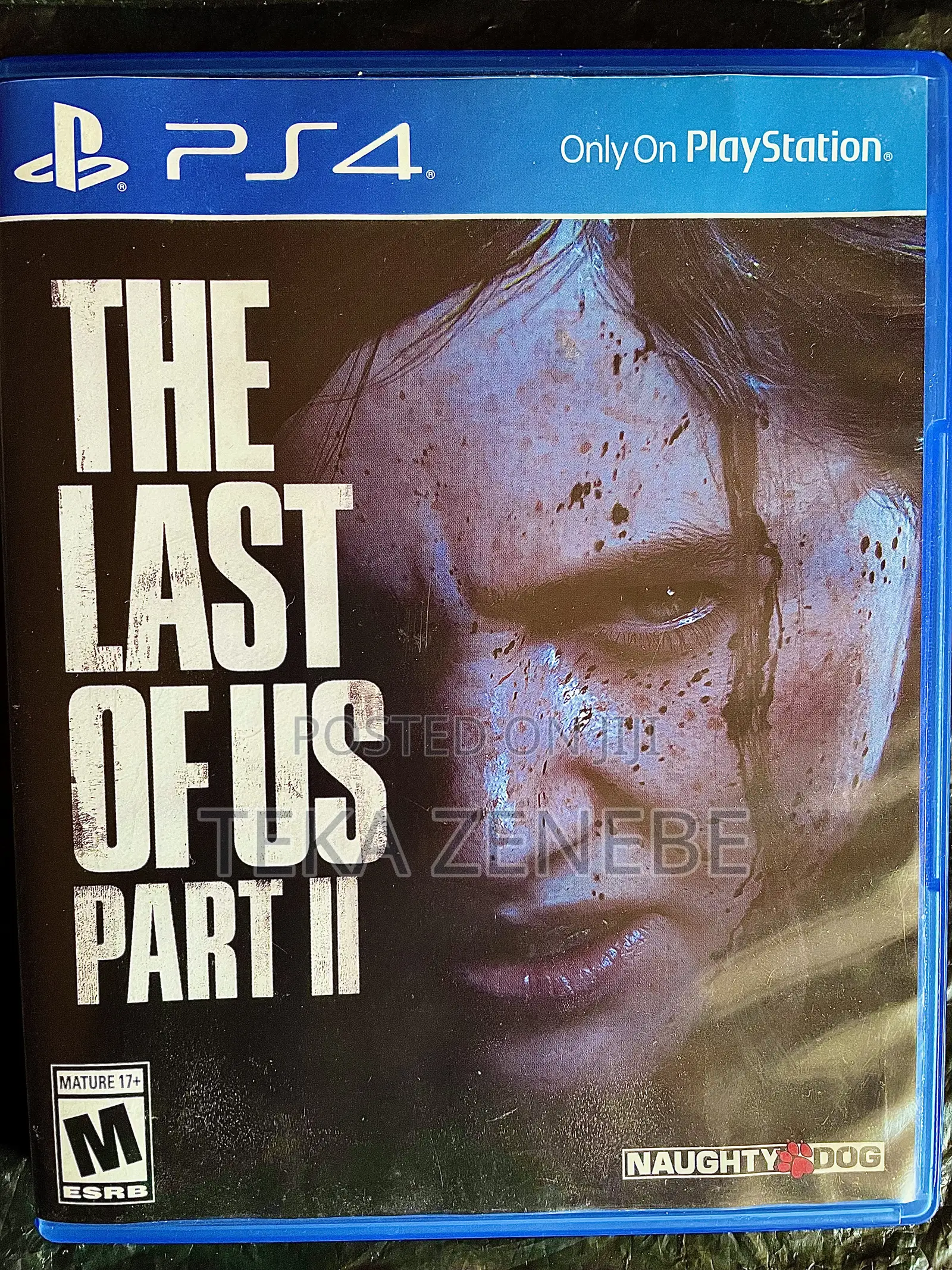 Last of Us 2