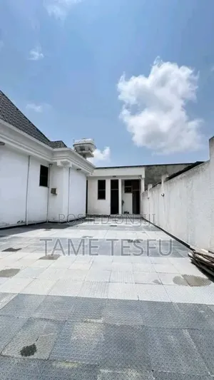 Photo - Furnished 4bdrm Villa in ሰሚት, Bole for sale