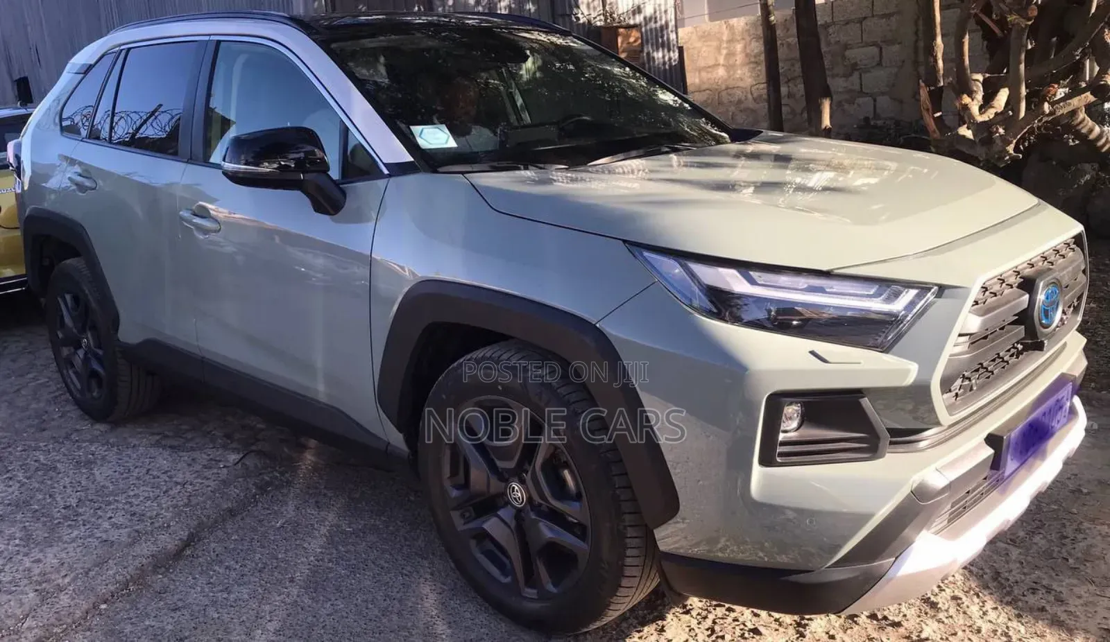 Toyota RAV4 2023 Gray