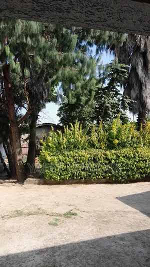 Land and House 500sqm (Welete) Sheger City