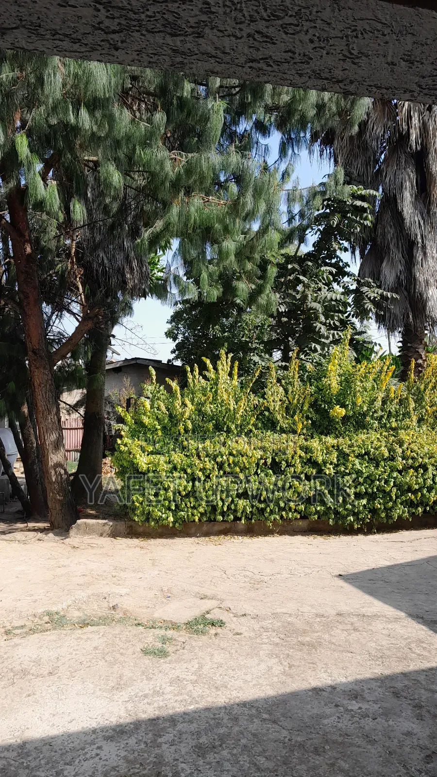 Land and House 500sqm (Welete) Sheger City