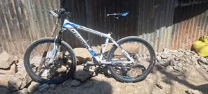 Betam Arif Yzota Lay Yale