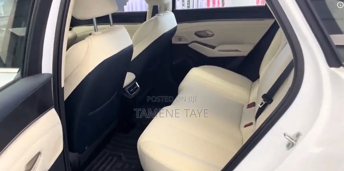 BYD Qin L DM-i 2024 White