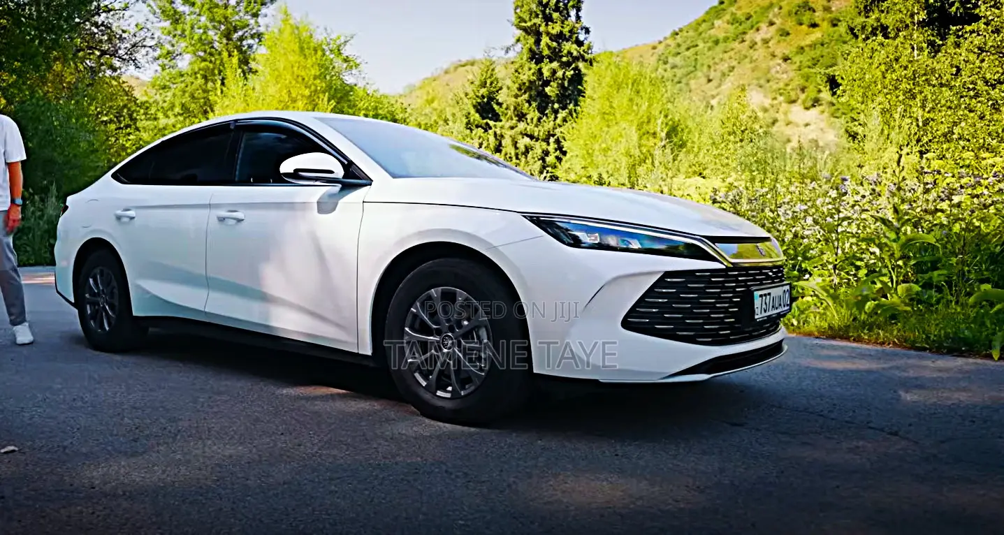 BYD Qin L DM-i 2024 White