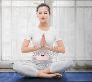 Photo - A Portable Menstrual Heating Pad