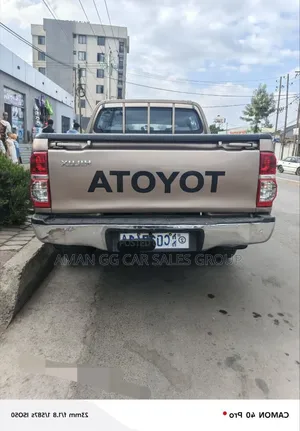Toyota Hilux 2010 Gray