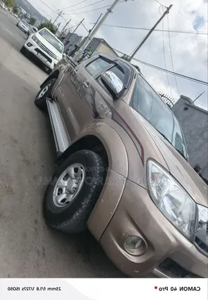 Toyota Hilux 2010 Gray