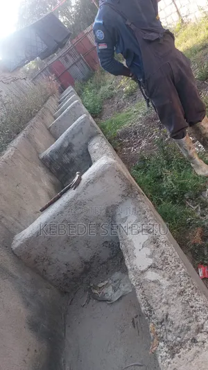 የከብት ማድለቢ Ware House