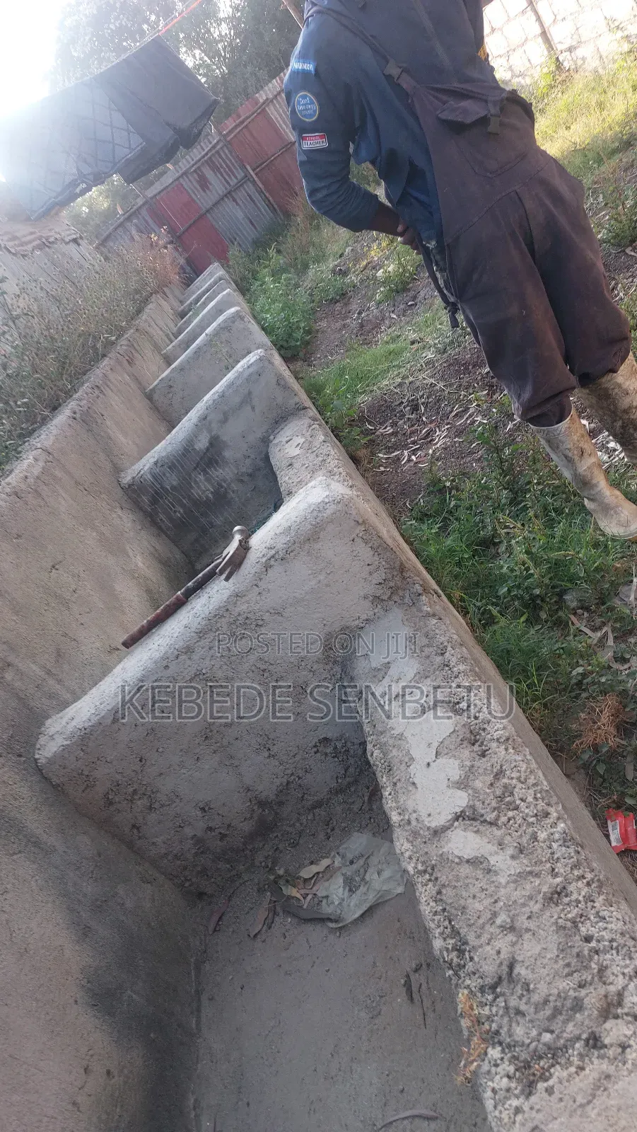 የከብት ማድለቢ Ware House